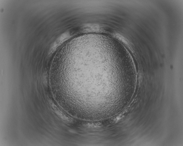 X0000063440345200601271519