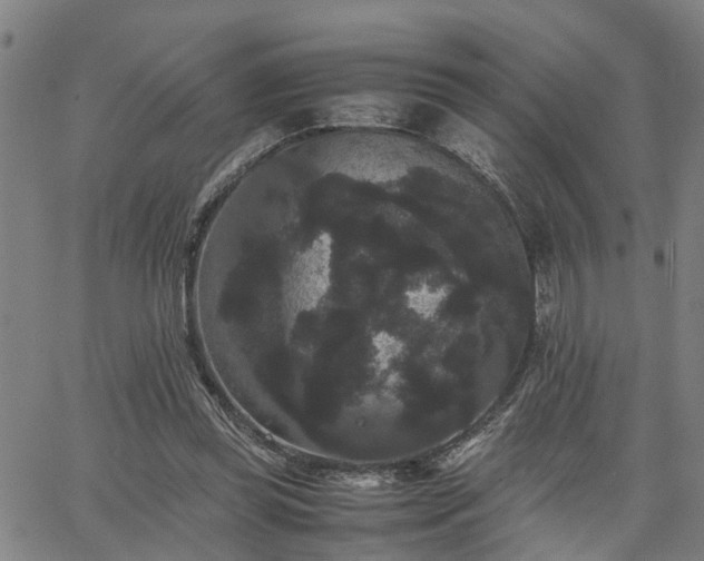 X0000063440349200601271519