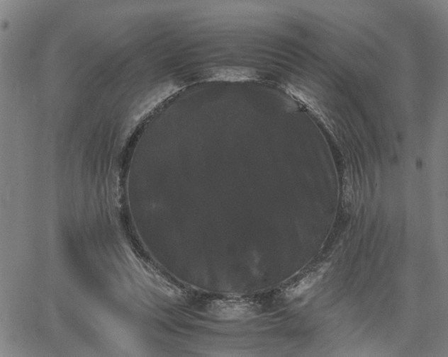 X0000063440351200601271519