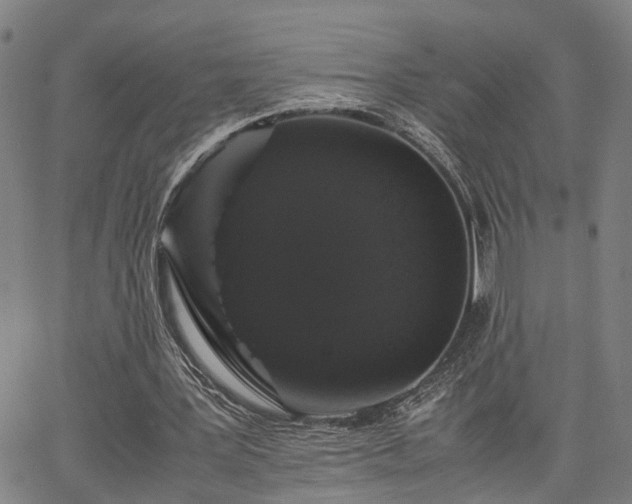 X0000063440387200601271519