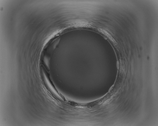X0000063440391200601271519