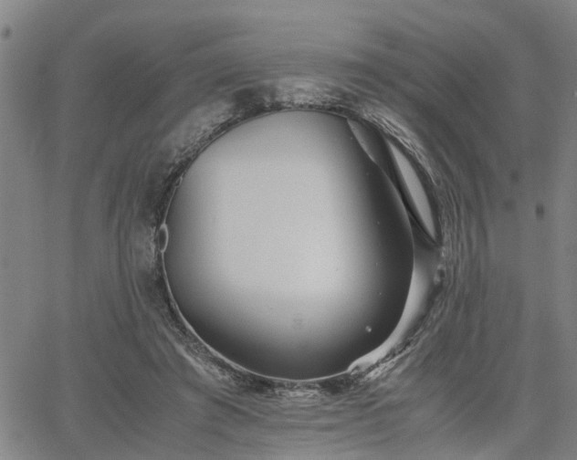 X0000063440401200601271519