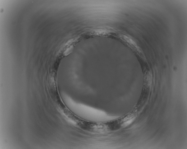 X0000063440415200601271519
