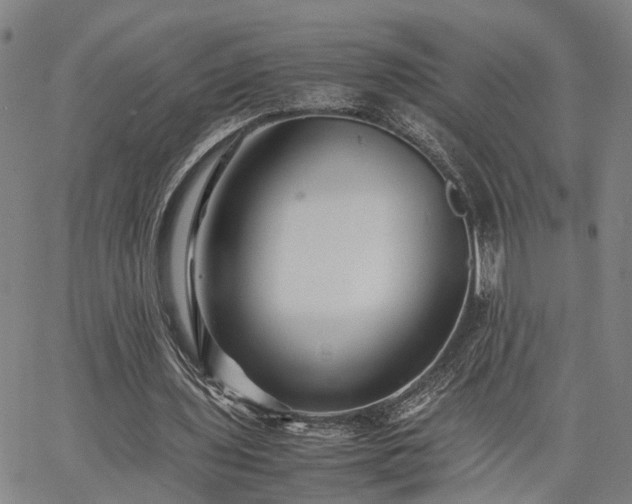 X0000063440435200601271518