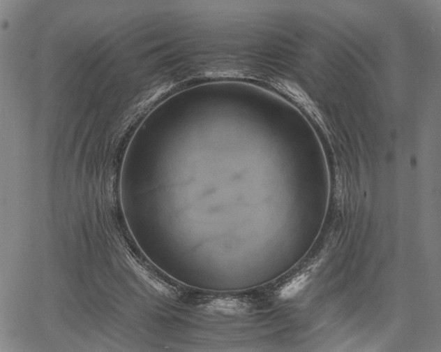 X0000063440441200601271518
