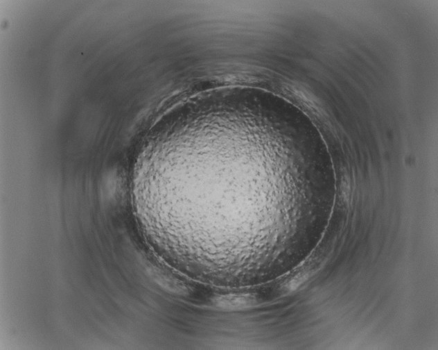 X0000063440461200601271518