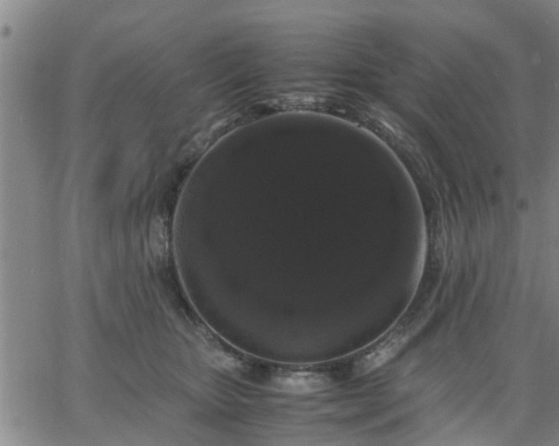 X0000063440467200601271518