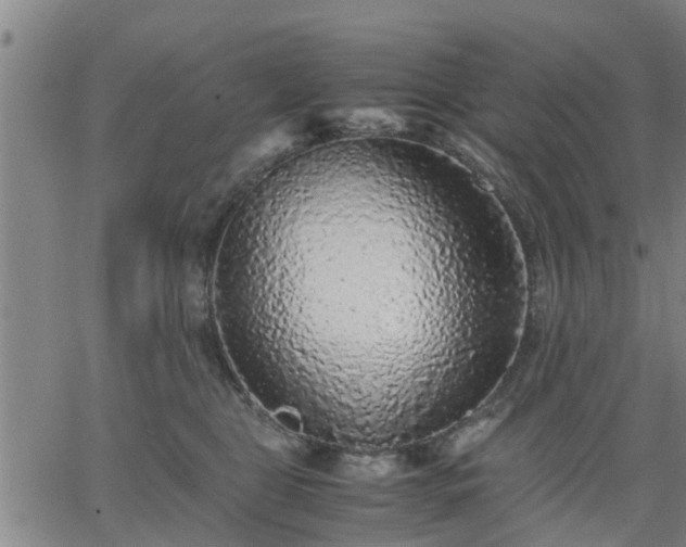 X0000063440469200601271518