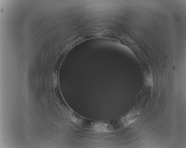 X0000063440471200601271518