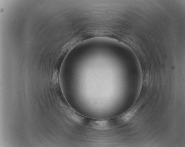 X0000063440478200601271518