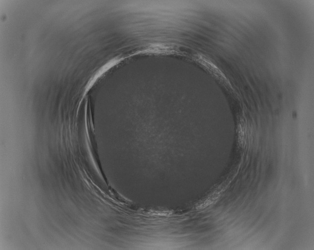X0000063440484200601271518