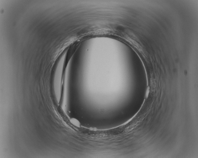 X0000063440485200601271518