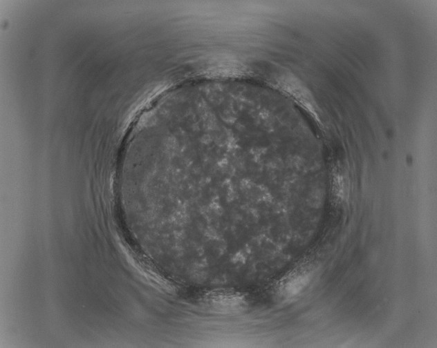 X0000063440491200601271517