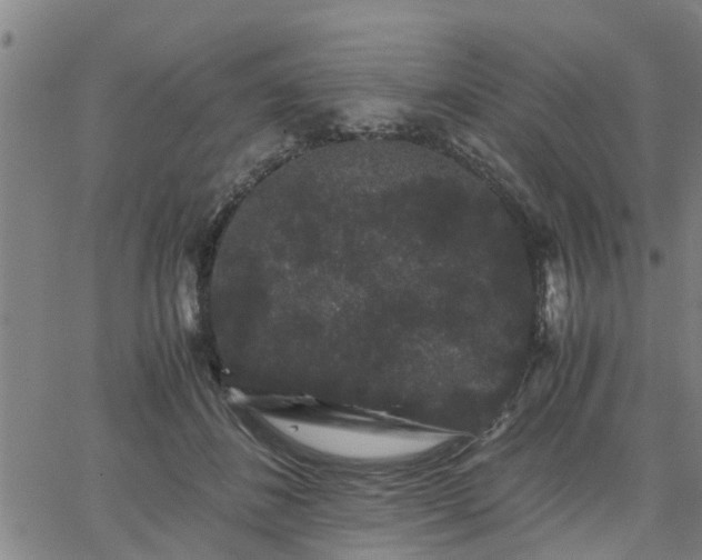 X0000063440508200601271517