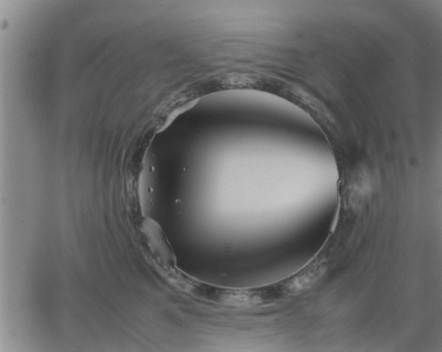 X0000063440521200601271517