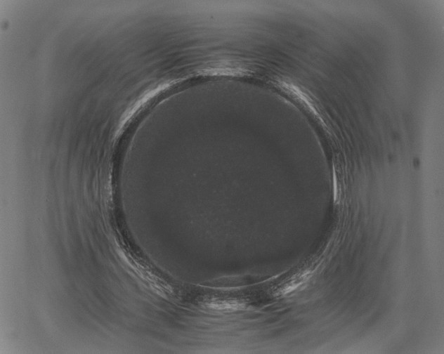 X0000063440531200601271516