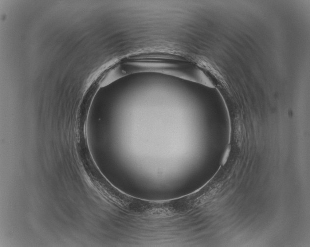 X0000063440536200601271516