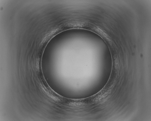 X0000063440537200601271516