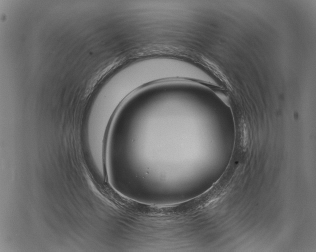 X0000063440538200601271516