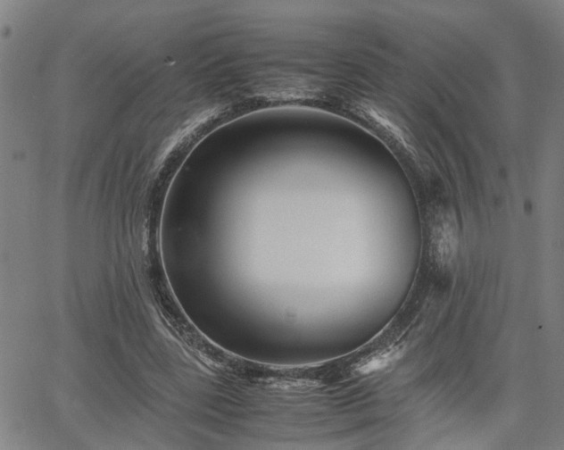 X0000063440539200601271516