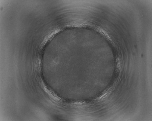 X0000063440542200601271516