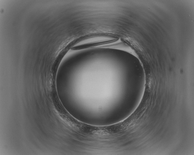 X0000063440544200601271516