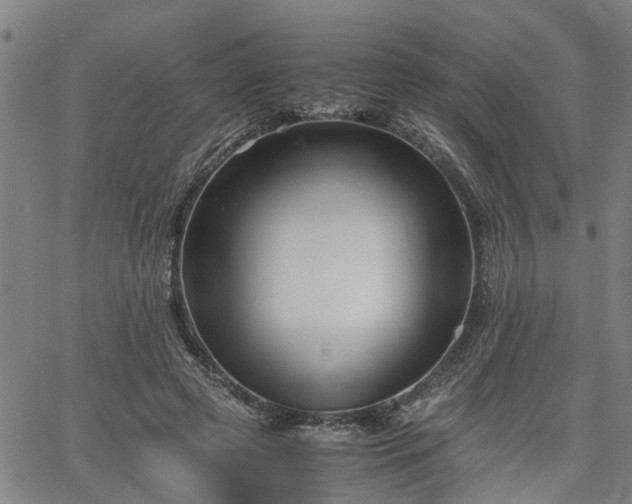 X0000063440545200601271516