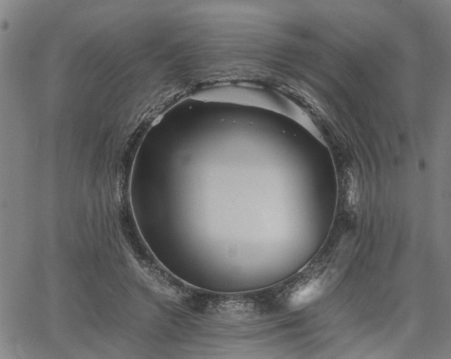 X0000063440546200601271516