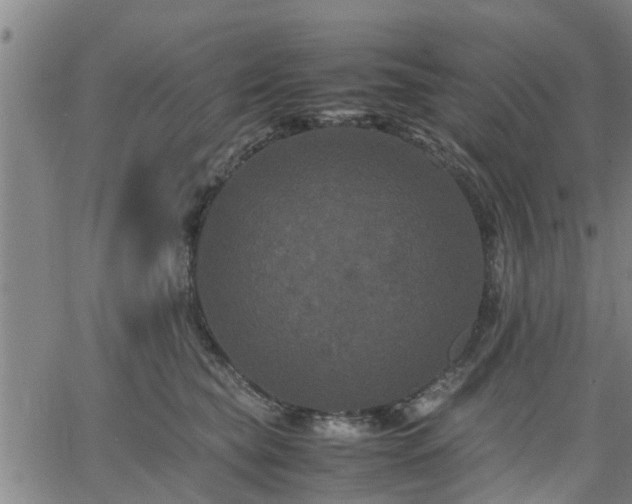 X0000063440565200601271517