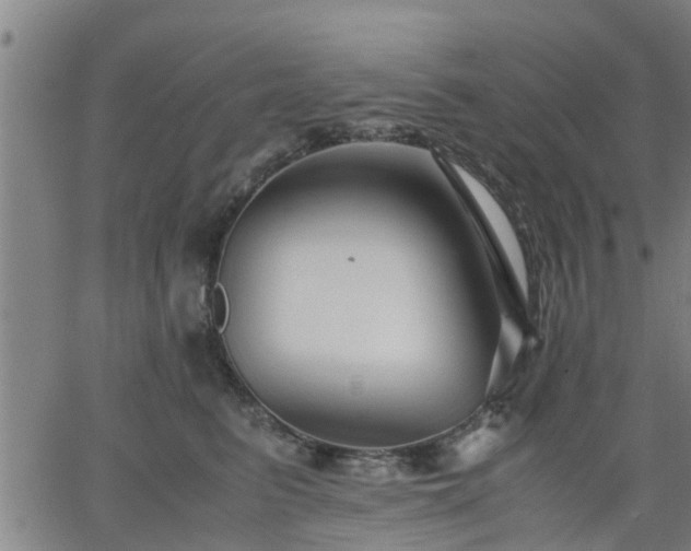X0000063440615200601271515