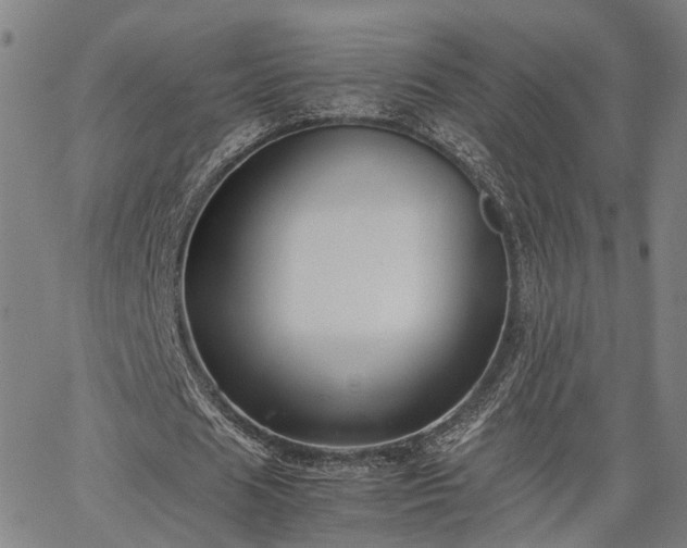 X0000063440625200601271515