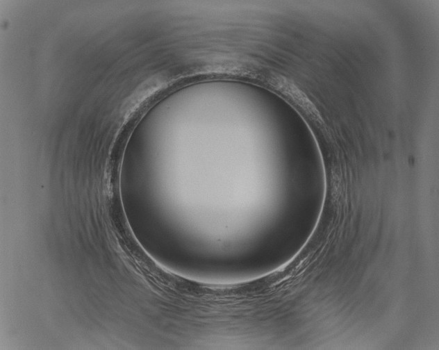 X0000063440628200601271515