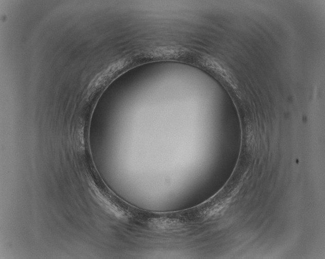 X0000063440633200601271515