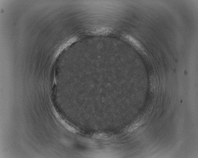 X0000063440634200601271515