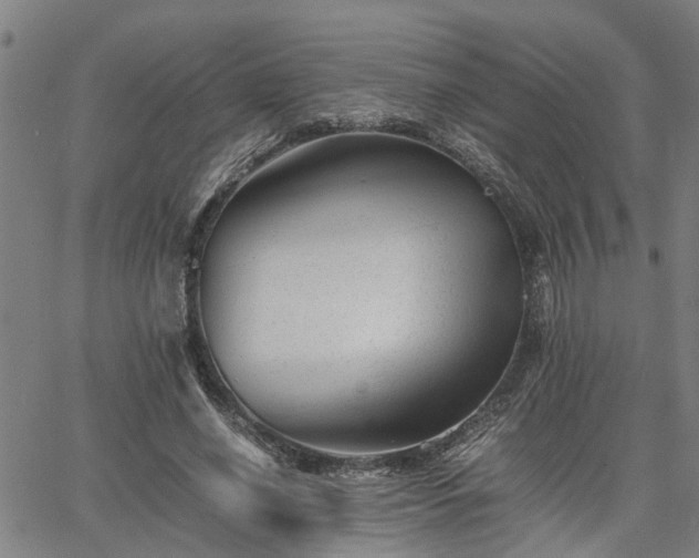 X0000063440638200601271515