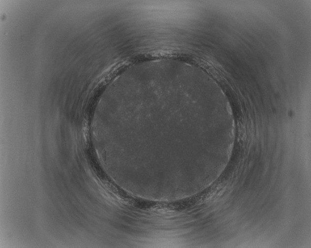 X0000063440648200601271515