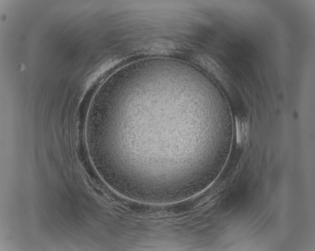 X0000063440675200601271514
