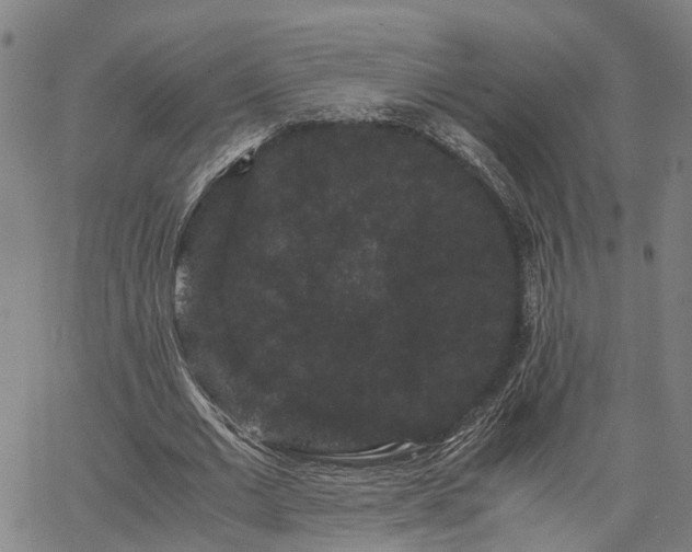 X0000063440677200601271514