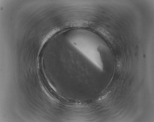 X0000063440678200601271514