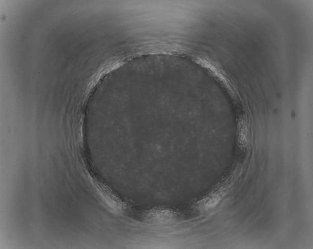 X0000063440685200601271514