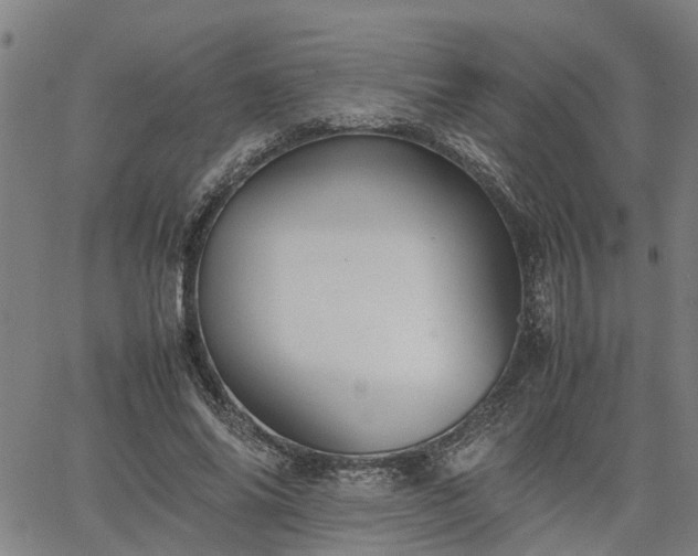 X0000063440686200601271514