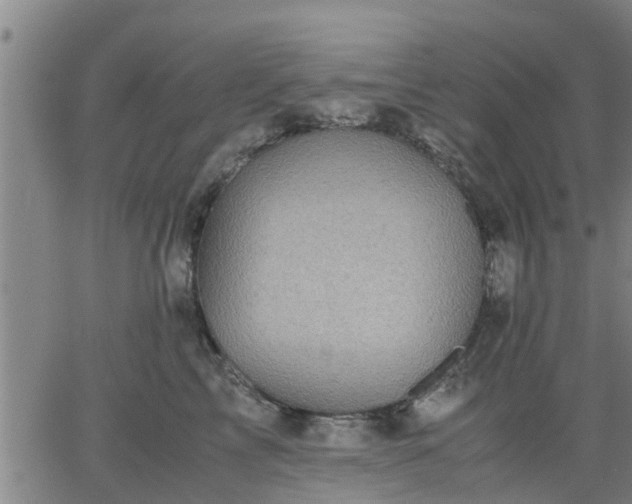 X0000063440713200601271514