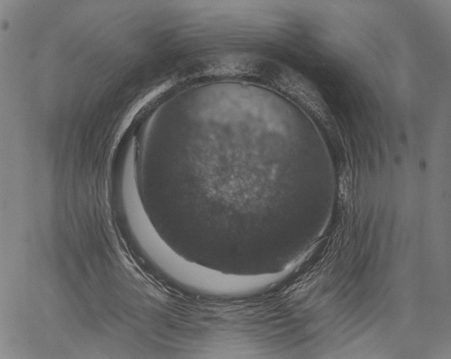 X0000063440724200601271513