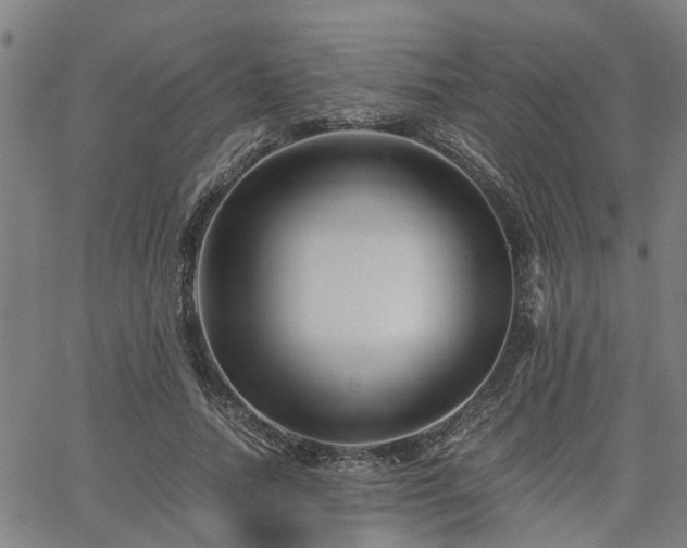 X0000063440738200601271513