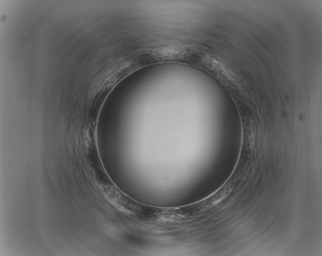 X0000063440746200601271513