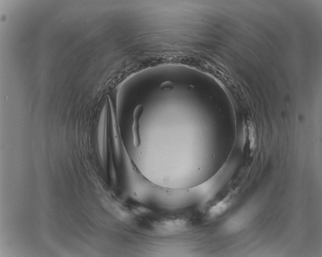 X0000063440750200601271513