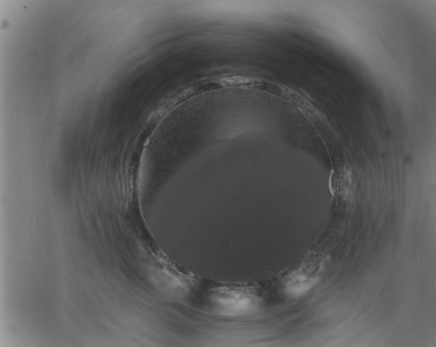 X0000063440763200601271514