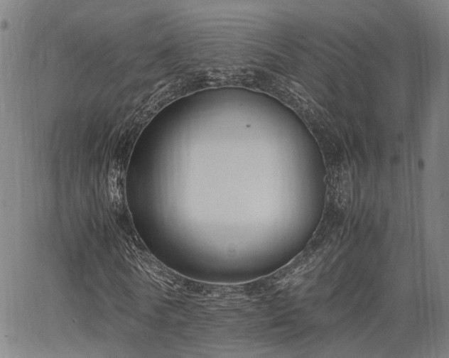 X0000063440770200601271513