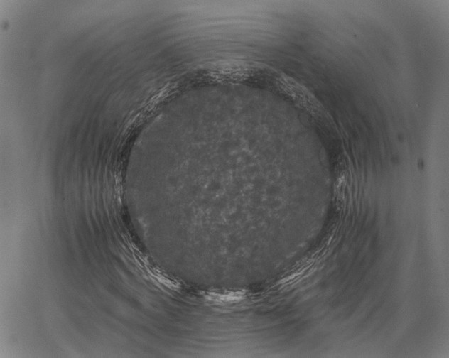 X0000063440772200601271513