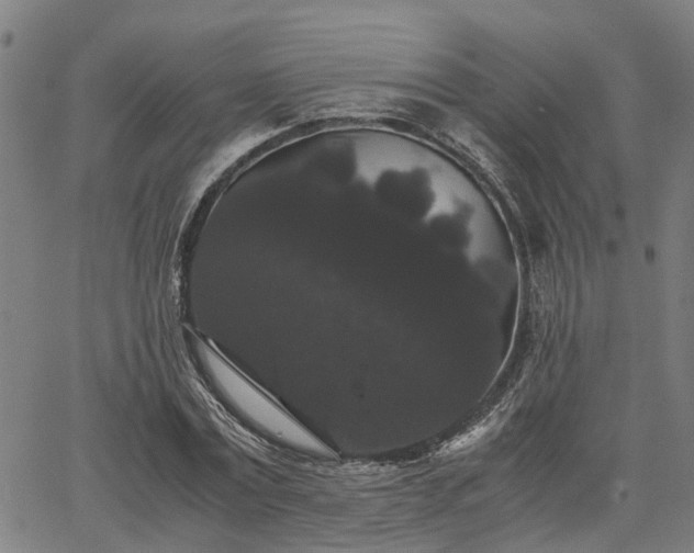 X0000063440779200601271513